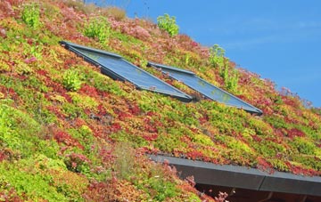 Rhostrehwfa living roof systems